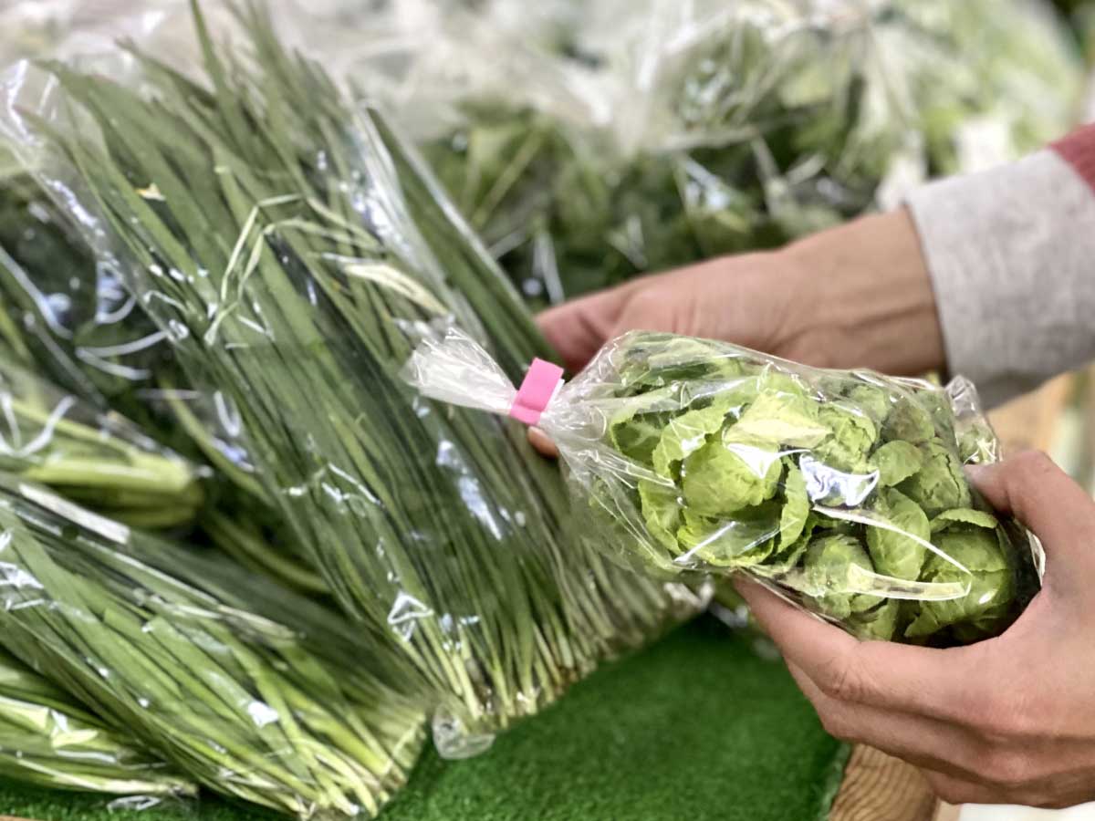野菜の鮮度を保つボードン袋