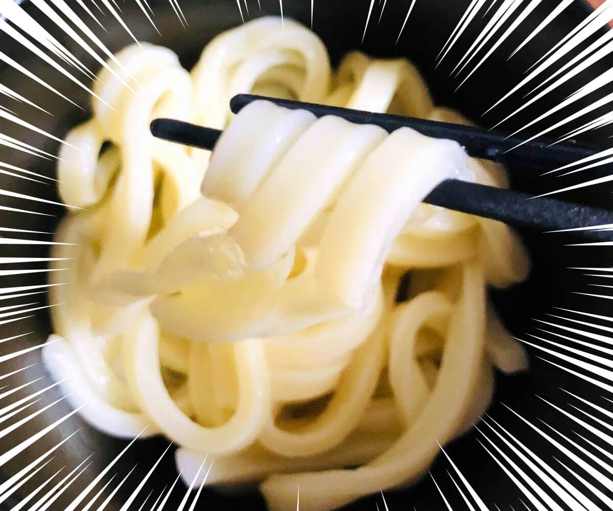 トップバリュ「冷凍うどん」